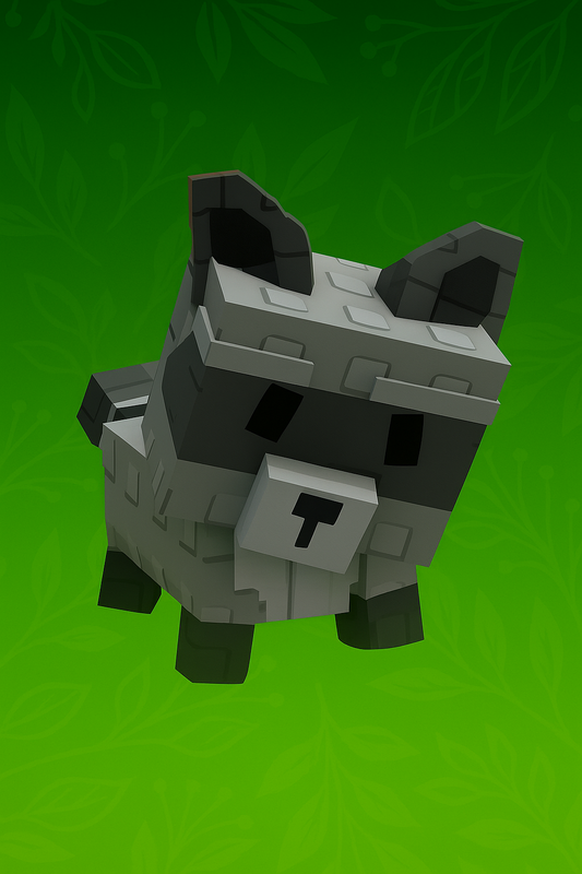 Raccoon